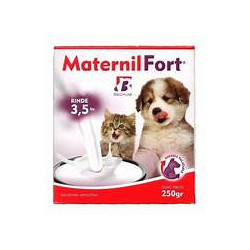 Maternil Fort