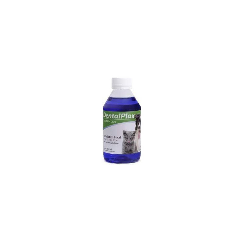 Dental Plax - 250 ml
