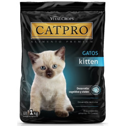 Dogpro Cachorros Mordida Pequeña