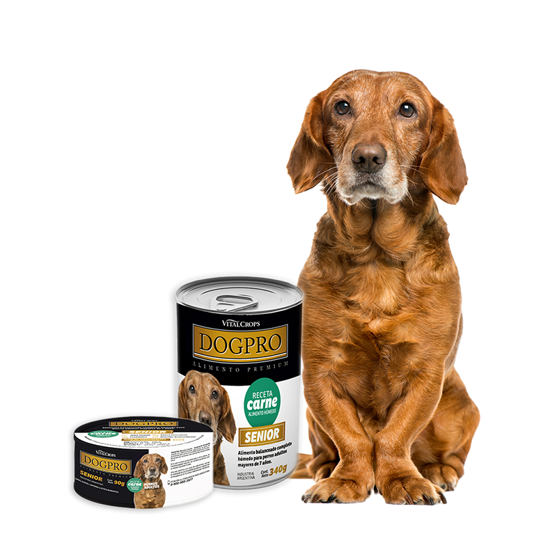 Dogpro Alimento Húmedo
