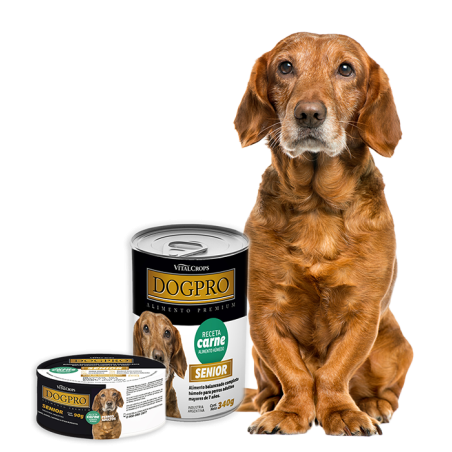 Dogpro Alimento Húmedo
