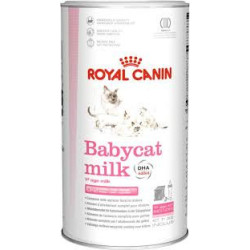 RC Milk Babby Cat
