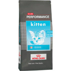 Performance Cat Kitten