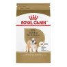 RC Bulldog Adulto