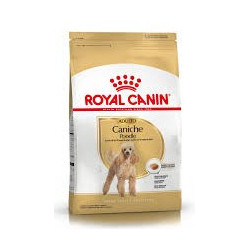 RC Caniche Adulto
