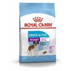 RC Giant Junior Canine