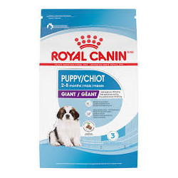 RC Giant Puppy Canine