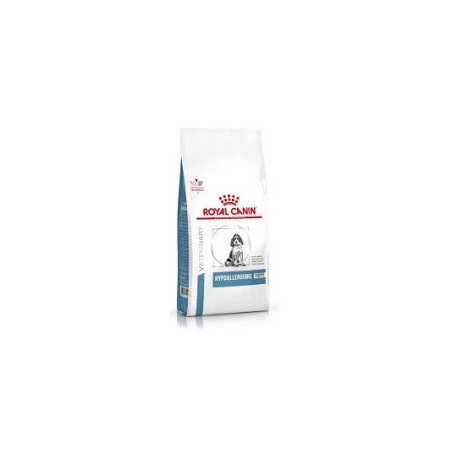 RC Hipoalergenic Puppy