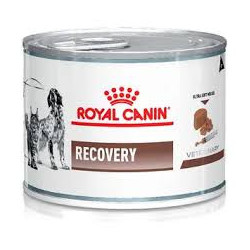 RC Lata Recovery Canine/Feline