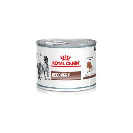 RC Lata Recovery Canine/Feline