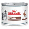 RC Lata Recovery Canine/Feline