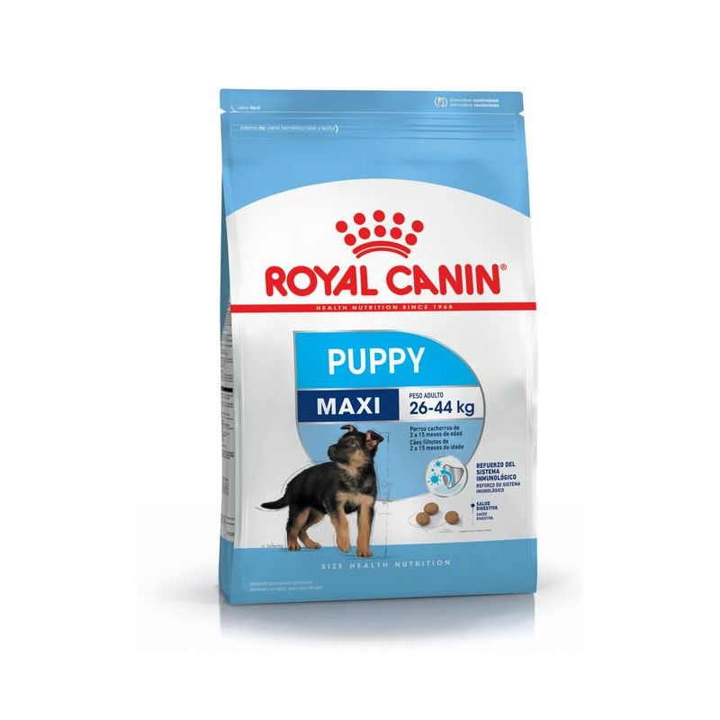 RC Maxi Puppy Canine