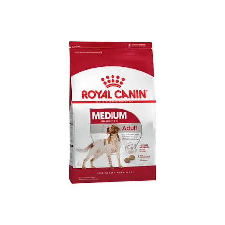 RC Medium Adult Canine