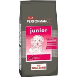RC PERFORMANCE DOG JUNIOR