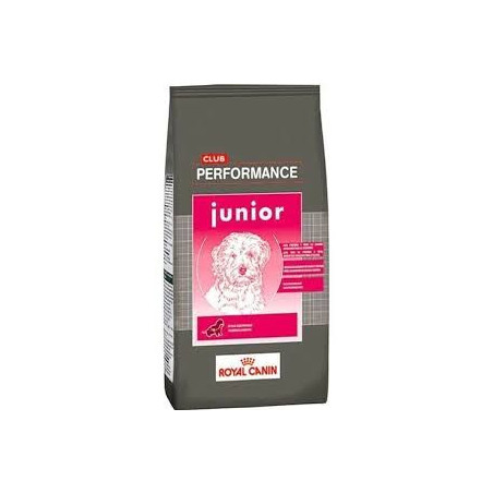 RC PERFORMANCE DOG JUNIOR