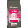 RC PERFORMANCE DOG JUNIOR