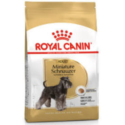 RC SCHNAUZER MINIATURE ADULT