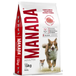 Manada - Perro Adulto