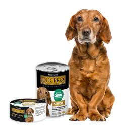 Dogpro Alimento Húmedo